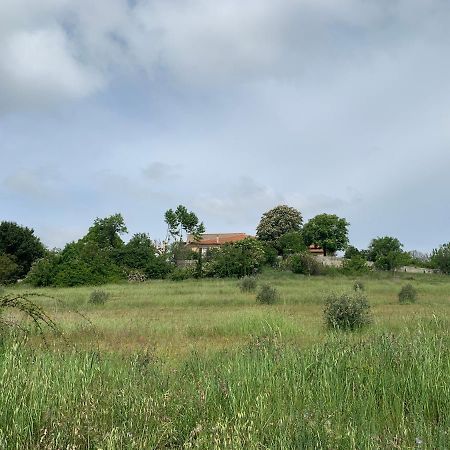 Domaine Le Commandaire Roumoules Dış mekan fotoğraf